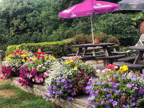 The Black Horse garden in full bloom